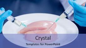  Presentation with food chicken - Colorful PPT theme enhanced with food scientist injecting raw chicken backdrop and a  colored foreground