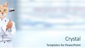  Presentation with blue abstract - Presentation theme with food services collage - ginger cat chef over abstract background and a cool aqua colored foreground