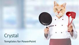  Presentation with blue abstract - Slide deck consisting of food services collage - ginger cat chef over abstract background and a  colored foreground