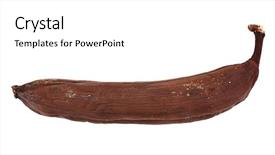  Presentation with food banana - Slide deck consisting of food spoilage - black rotten banana isolated background and a white colored foreground