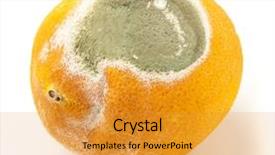  Presentation with food white - Colorful slide deck enhanced with food spoilage - damaged orange isolated backdrop and a  colored foreground