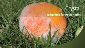  Presentation with minerals - Cool new PPT layouts with food spoilage - genuine moldy and rotting orange backdrop and a tawny brown colored foreground