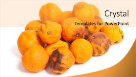  Presentation with group - Colorful PPT theme enhanced with food spoilage - group of rotten oranges isolated backdrop and a yellow colored foreground