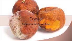  Presentation with group - Slide deck enhanced with food spoilage - group of rotten oranges isolated background and a red colored foreground