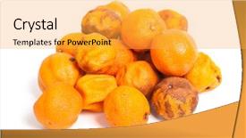  Presentation with group of wildlife crocodile isolated - Slide deck having food spoilage - group of rotten oranges isolated background and a yellow colored foreground