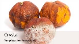  Presentation with food white - Audience pleasing PPT theme consisting of food spoilage - group of rotten oranges isolated backdrop and a soft green colored foreground