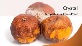  Presentation with group - Colorful slide deck enhanced with food spoilage - group of rotten oranges isolated backdrop and a lemonade colored foreground