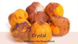  Presentation with group - Beautiful PPT layouts featuring food spoilage - group of rotten oranges isolated backdrop and a gold colored foreground