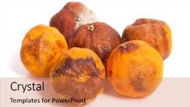  Presentation with food white - PPT layouts having food spoilage - group of rotten oranges isolated background and a coral colored foreground