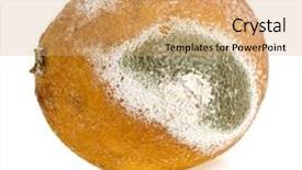  Presentation with citrus - Slide set featuring food spoilage - moldy rotten citrus fruit isolated background and a yellow colored foreground