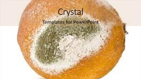 Presentation with spoilage fruit and vagetable - Theme having food spoilage - moldy rotten citrus fruit isolated background and a yellow colored foreground