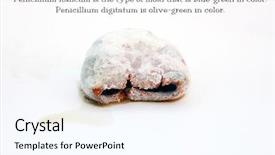  Presentation with mold - Amazing slide deck having food spoilage - orange in decomposition with peniccilum backdrop and a cool aqua colored foreground