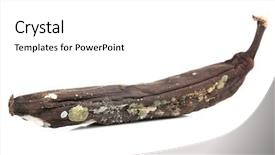  Presentation with food banana - Theme enhanced with food spoilage - rotten banana isolated on white background and a white colored foreground