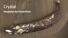  Presentation with banana - Amazing presentation having food spoilage - rotten banana isolated on white backdrop and a  colored foreground