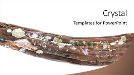  Presentation with food banana - Presentation theme featuring food spoilage - rotten banana isolated on white background and a white colored foreground