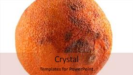  Presentation with food white - Slide deck featuring food spoilage - rotten orange isolated on white background and a red colored foreground
