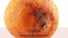  Presentation with orange peel isolated - PPT theme featuring food spoilage - rotten orange isolated on white background and a red colored foreground