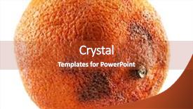  Presentation with food white - Cool new slides with young couple of runners in sports wear standing together on beach and poiting at the distance backdrop and a light gray colored foreground