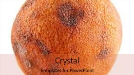  Presentation with orange peel isolated - Beautiful PPT layouts featuring food spoilage - rotten orange isolated on white backdrop and a red colored foreground