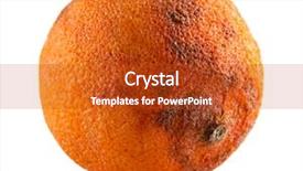  Presentation with orange - Slide deck having food spoilage - rotten orange isolated on white background and a crimson colored foreground