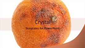  Presentation with food white - Theme consisting of food spoilage - rotten orange isolated on white background and a red colored foreground