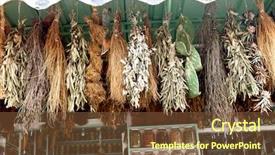  Presentation with tulsi herbs - Beautiful presentation design featuring food stall - dry herbs hanging on market backdrop and a tawny brown colored foreground