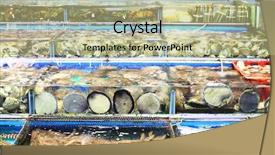  Presentation with hong kong - PPT theme enhanced with white clothes holding baby background and a soft green colored foreground