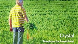 Presentation with food supply - Presentation having food supply - carrot farmer with a bunch background and a  colored foreground