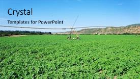 Presentation with food supply - Amazing PPT layouts having food supply - green potato field backdrop and a  colored foreground