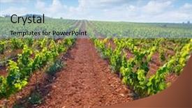  Presentation with wines and spirits - PPT theme consisting of food symbol meditterranean - mediterranean vineyards in utiel requena background and a  colored foreground