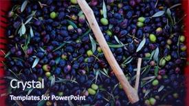  Presentation with olive trees garden mediterranean olive - Slide deck enhanced with food symbol meditterranean - olives harvest and picking sticks background and a navy blue colored foreground