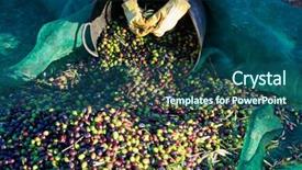  Presentation with harvest - Presentation design featuring food symbol meditterranean - olives harvest picking hands background and a ocean colored foreground