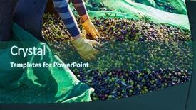  Presentation with harvest - Presentation design featuring food symbol meditterranean - olives harvest picking hands background and a ocean colored foreground
