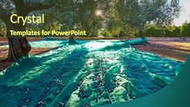  Presentation with olive trees - Slide deck enhanced with food symbol meditterranean - olives harvest picking with net background and a tawny brown colored foreground