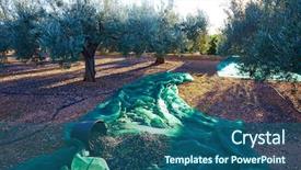  Presentation with olive trees - Colorful presentation design enhanced with food symbol meditterranean - olives harvest picking with net backdrop and a ocean colored foreground