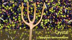  Presentation with net - Audience pleasing presentation theme consisting of food symbol meditterranean - olives texture in harvest picking backdrop and a tawny brown colored foreground