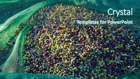  Presentation with net - Beautiful slide deck featuring food symbol meditterranean - olives texture in harvest backdrop and a ocean colored foreground