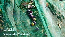  Presentation with net - Slide set featuring food symbol meditterranean - olives texture in harvest background and a  colored foreground
