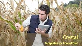  Presentation with agronomist - Slide deck featuring food technology - agronomist analysing cereals with electronic background and a tawny brown colored foreground