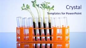  Presentation with green food technology - Slide deck consisting of food technology - experiment with green seedlings background and a sky blue colored foreground