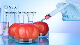  Presentation with food red - Presentation theme enhanced with food technology - injection into fresh red tomato background and a sky blue colored foreground