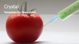  Presentation with food red - Amazing presentation theme having food technology - injection into fresh red tomato backdrop and a gray colored foreground
