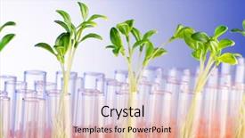  Presentation with green food technology - Slide set consisting of food technology - lab experiment with green seedlings background and a lemonade colored foreground