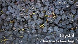  Presentation with grape - Beautiful PPT theme featuring food theme grapes backdrop and a  colored foreground