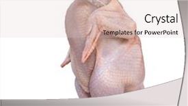  Presentation with bird flu - Slide deck with food thermometer - bird flu background and a  colored foreground