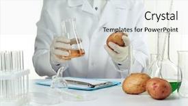  Presentation with food laboratory - Colorful slide deck enhanced with scientist examines potatoes in laboratory backdrop and a light gray colored foreground