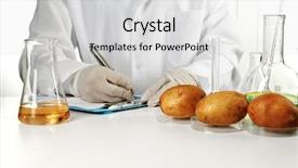  Presentation with scientist - Presentation theme having food toxin - scientist examines potatoes in laboratory background and a light gray colored foreground