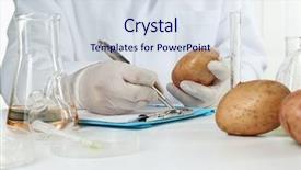  Presentation with cytology laboratory - Presentation design consisting of food toxin - scientist examines potatoes in laboratory background and a sky blue colored foreground