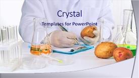  Presentation with laboratory food - PPT theme featuring scientist examines potatoes in laboratory background and a sky blue colored foreground