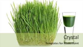  Presentation with healthy drink - Amazing slide set having healthy lifestyle immunity - shot of wheat grass drink backdrop and a yellow colored foreground